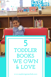 5 toddler books we own and love