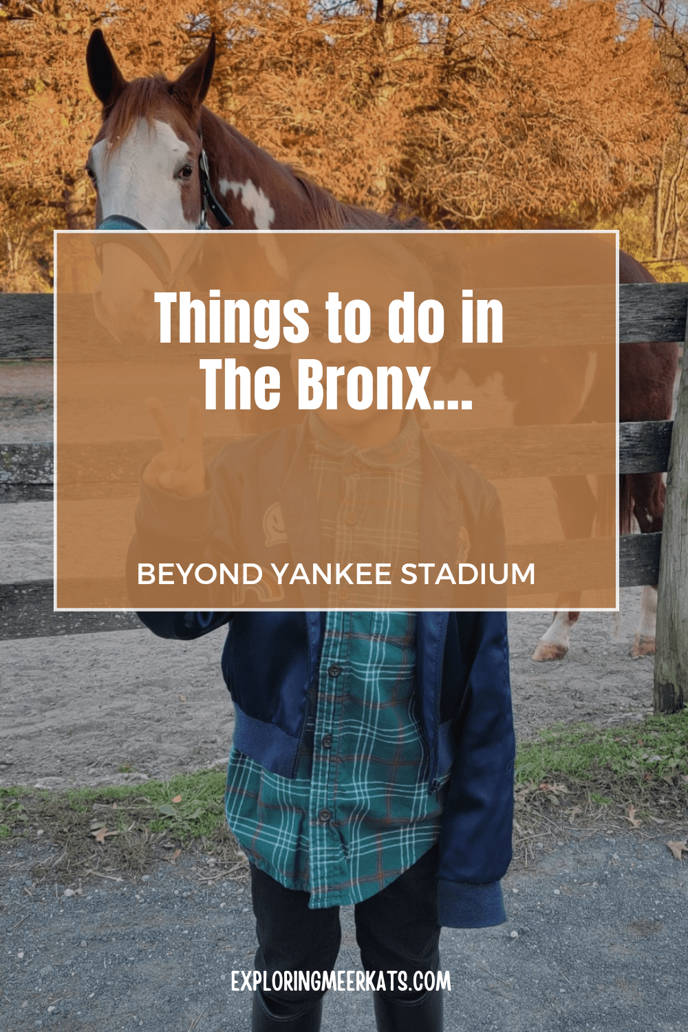Things to do in The Bronx